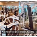 터미널 하이마트앞 이미지