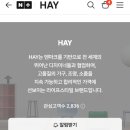 헤이라이프 | 덴마크 라이프 스타일 "HAY" 헤이 도마 후기