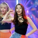 도이