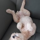 화목약국 이미지