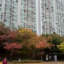 24.11.01 [ 대구 - 인동촌숯불곰장어 ]
