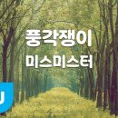 미스미스터 풍각쟁이 태진노래방 이미지