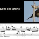 메시앙 '새들의 작은스케치' 1949년에는 피아노곡 《음가(音價)와 강도(强度)의 모드》 《뇜 리트미크》를 발표하였는데 이것은 제2차 이미지
