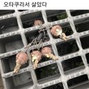 오잉 ! 구독쟈 없냐 구독쟈 ㅋㅅㅋ