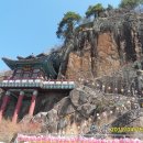 비아중학교 이미지