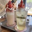 서연슈퍼 | 대학교 한 달 체험후기