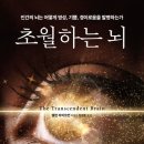 심심상인 이미지