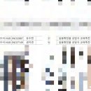 인셀덤V스타
