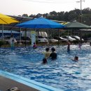 부여양송이마을 이미지