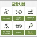 정세영농장 | 보홀 자유여행 패키지, 보홀 육상투어 코스 현지 후기(시간/가격)