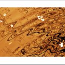 one`s eyes 이미지