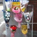 오백사오천사