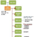 [창체 8차] 영화《사도》로 보는 역사와 우리고장 수원 이미지