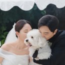 가든스냅 | 헤이스가든 본식스냅 하이라이트 후기 : 더러비엔