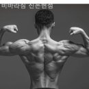 비바라짐 이미지