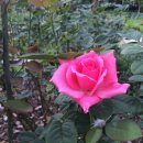 북구-10(학사로) 이미지