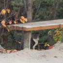 봉화산커피 이미지