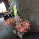 제일문구카페 이미지