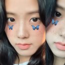 나비야 이미지