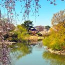 만년교식당 이미지