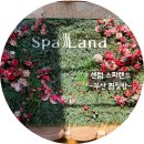 같지만 다른 얼굴 | [부산 아이와 가볼만 한 곳]센텀 스파랜드 내돈내산 솔직 이용 후기 (꿀팁 포함)