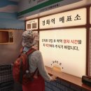 진해의 벚꽃 -2010년 4월 당시와 2026년 3월28일 이미지