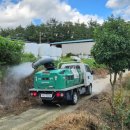 동선농장 이미지