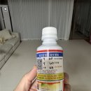 포도당 | [임신일기] 임당 재검 후기 포도당 음료보다 더 힘들었던 기다림