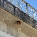 공원마을2길 22 | 20250927 뿌리산악회 #22 운탄고도2길