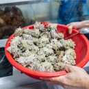 남해싱싱대게 이미지