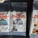 케어덴탈 | 고양이 치석관리 사료 로얄캐닌 캣 덴탈케어 후기 가격