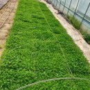 팔봉농원 이미지