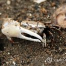 중선포천 이미지