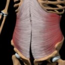 코어짐 피트니스 이미지