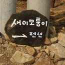 새이모퉁이 이미지