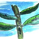 개미목장 이미지