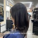일산 헤어샵 순수헤어 일산라페스타점 중단발 볼륨매직 후기