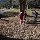 튼튼이농장 이미지