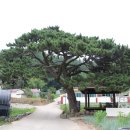 사천리경로당 이미지