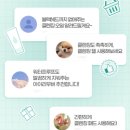 전원다방 - 안산시 단원구 원본로 18-1 | 전원다방