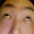 노랑호프 Daum카페