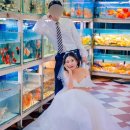 베트남웨딩스튜디오 이미지