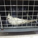 신림역 2번 출구 앞 이미지