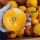 세일농장 이미지