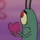 제주마농 이미지