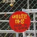 금모래 농장 이미지