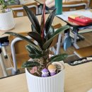 반천초등학교 이미지