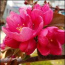 운정행복센터 이미지