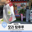 사상구 모라 오사카 탕후루 후기 일본 도시 오사카인 이유 (feat. 메뉴 가격)
