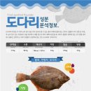 도다리 이미지